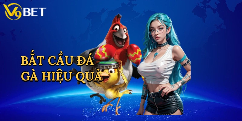 bat-cau-da-ga-hieu-qua-1