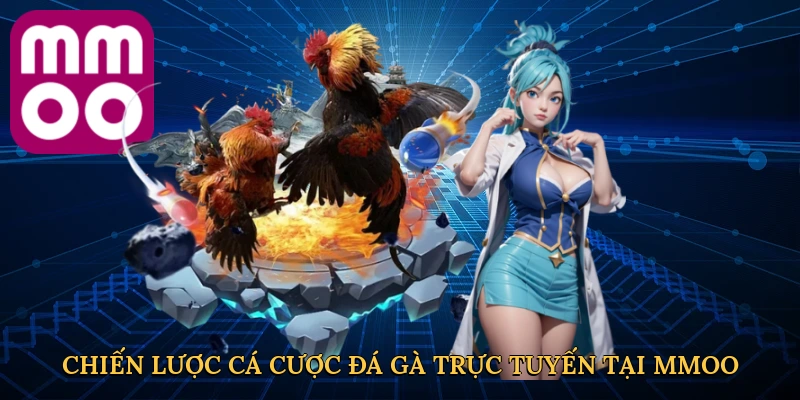 Chiến lược cá cược đá gà trực tuyến tại MMOO