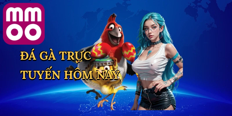 Đá Gà Trực Tuyến Hôm Nay
