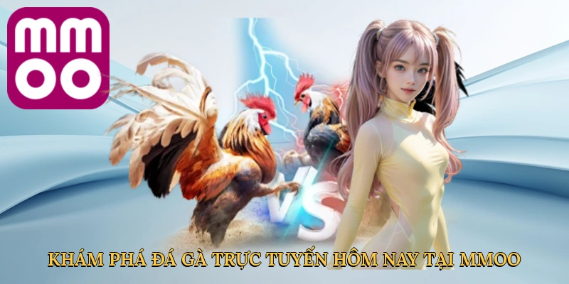 Khám phá đá gà trực tuyến hôm nay tại MMOO
