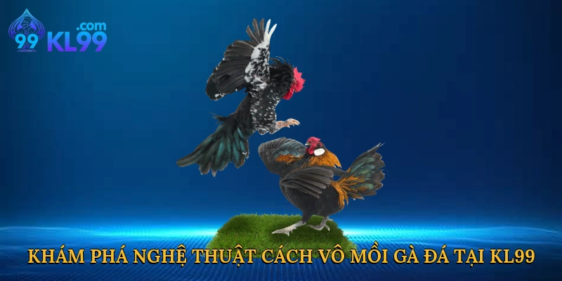 Khám phá nghệ thuật cách vô mồi gà đá tại KL99