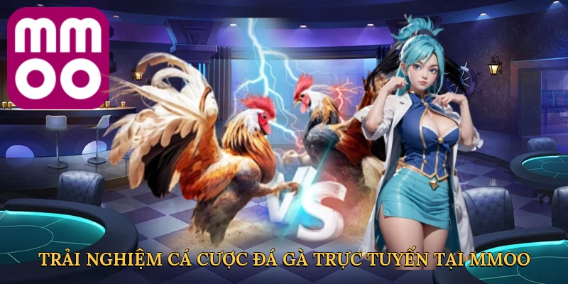 Trải nghiệm cá cược đá gà trực tuyến tại MMOO