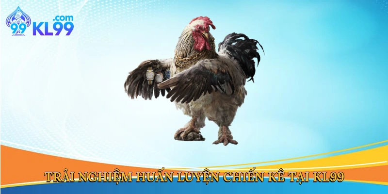 Trải nghiệm huấn luyện chiến kê tại KL99