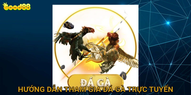 huong-dan-tham-gia-da-ga-truc-tuyen