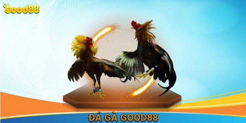 Đá gà Good88