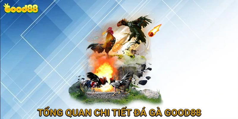 Tổng Quan Chi Tiết Đá Gà GOOD88